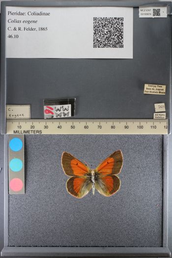 Media type: image;   Entomology 193874